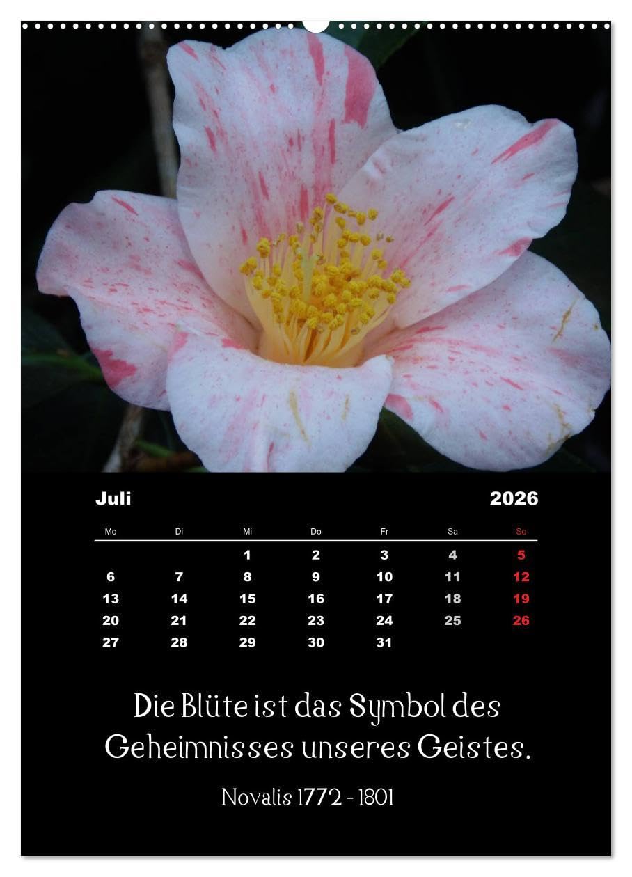 Sprüche und Zitate berühmter Personen über Blumen und Natur (hochwertiger Premium Wandkalender 2026 DIN A2 hoch), Kunstdruck in Hochglanz: ... Spruch unter jedem Bild (CALVENDO Natur)