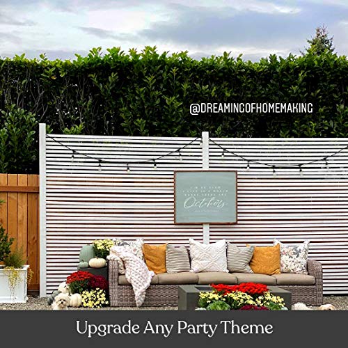 Brightech Ambience Pro - Weatherproof, Solar Power Outdoor String Lights - 27 Ft Hanging Edison Bulbs Create Bistro Ambience in Your Yard - Commercial Grade, Shatterproof - 1W LED, Soft White Light