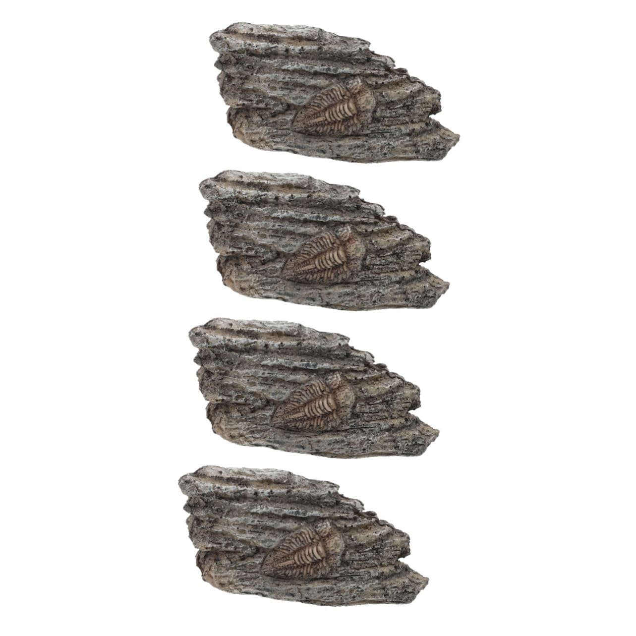 4stücke Collection Trilobite Resin Decoration Paleontological Home Decor Lightweight and Compact Trilobite Specimen for Education and Display for Nature Enthusiasts