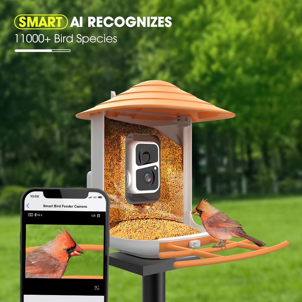 bird feeder dog watching squirrel video