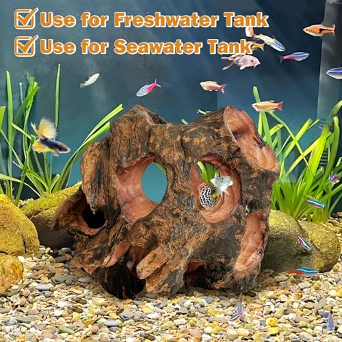 Image of PINVNBY Betta Fish Cave Natural Wood Betta Fish Hideout for Aquarium Fish Tank Decorations Hideout Betta Fish Accessories Habitat Shelter for Crayfish Shrimp and Other Aquatic Pets