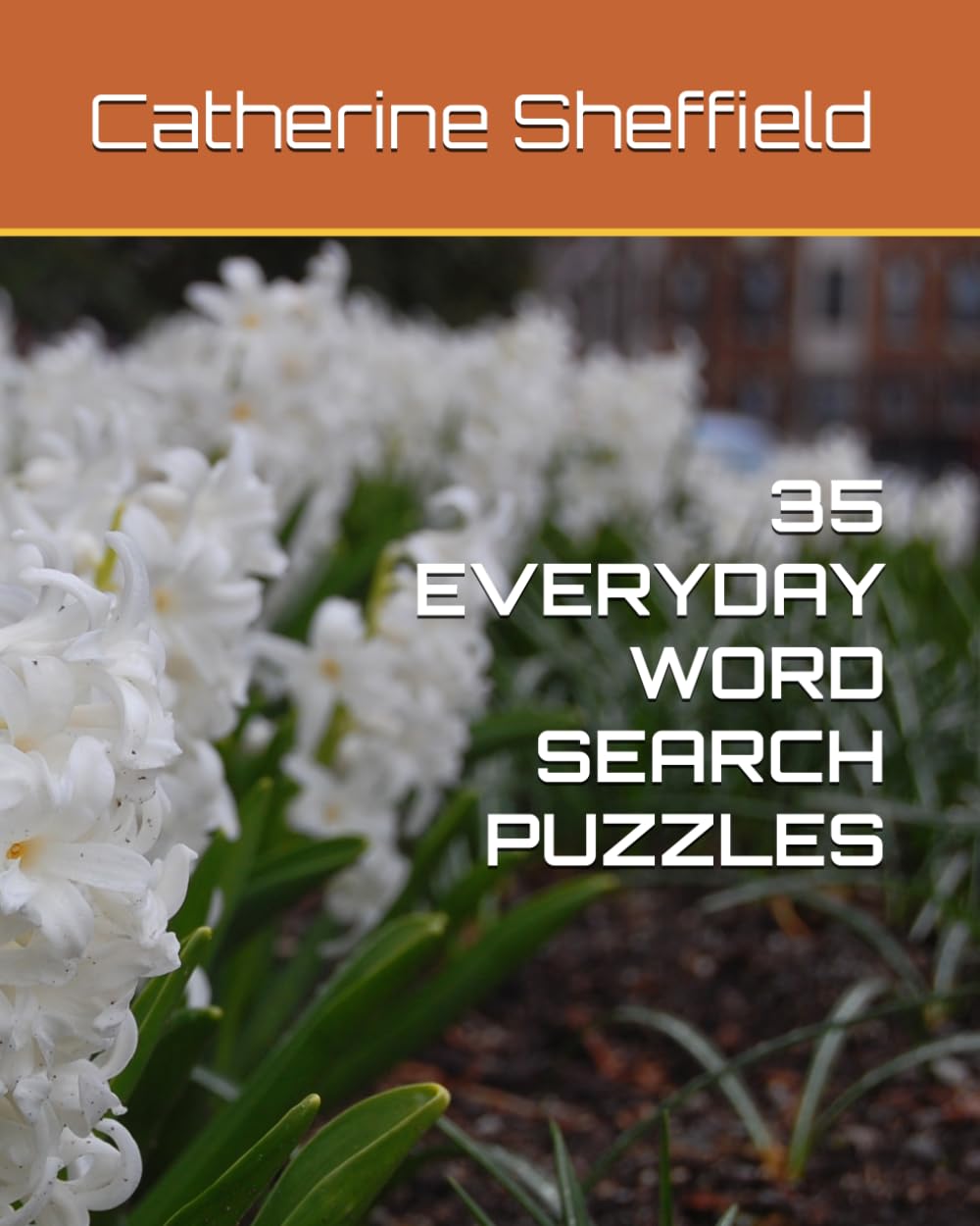 35 EVERYDAY WORD SEARCH PUZZLES