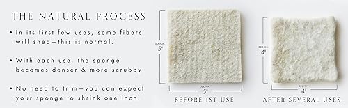 Miniatura 2 de Wool Sponges 2-Pack - Environmentally Friendly, Long-lasting & Compostable - Perfect for Dishes, Face, Body & Surfaces