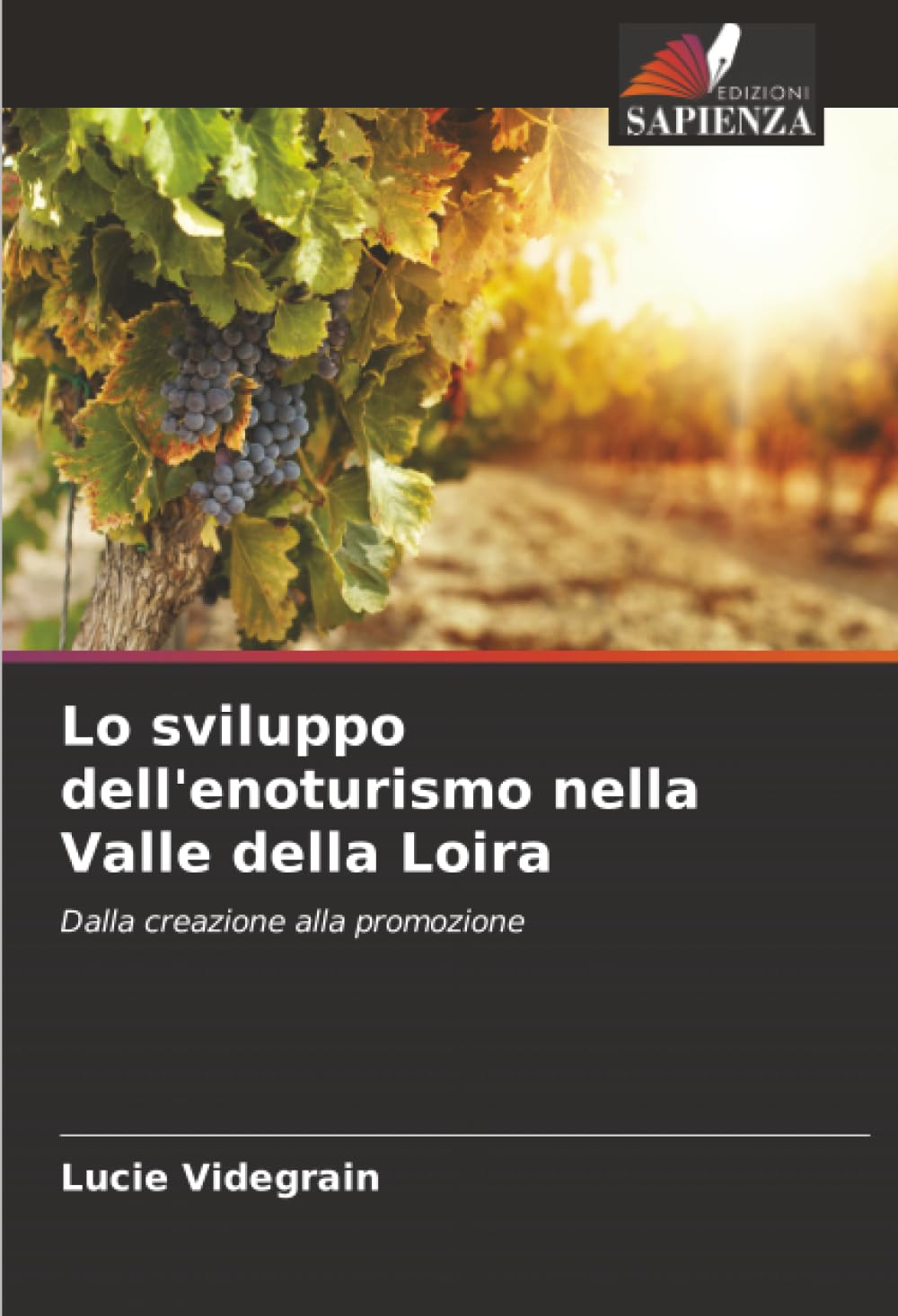 Lo sviluppo dell'enoturismo nella Valle della Loira: Dalla creazione alla promozione