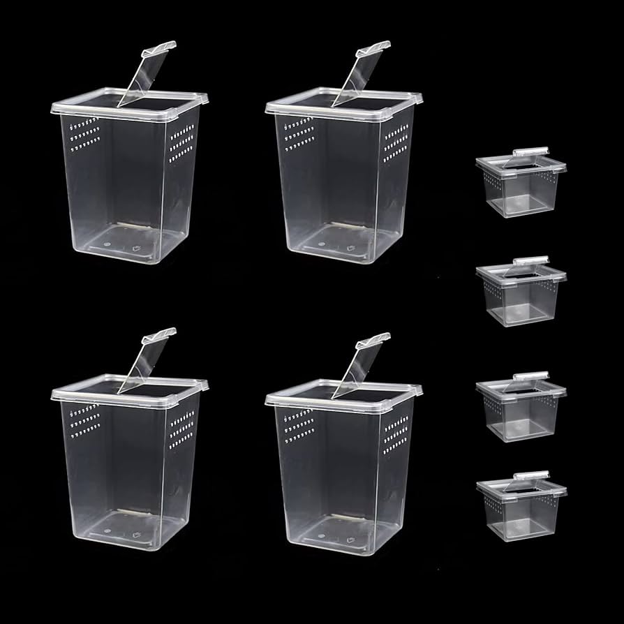 Amazon | 小型爬虫類飼育ボックス クモ テラリウム フリー