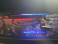 Review Image by WesleyR