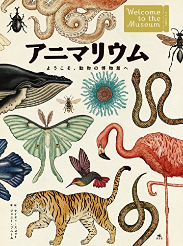 無料電子書籍 pdf アニマリウム ようこそ、動物の博物館へ バイ
