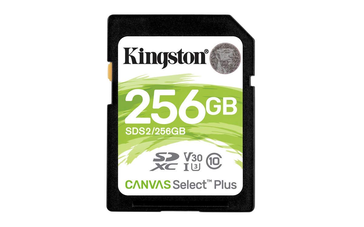 Amazon.com: Kingston 256 GB SDXC Class 10 Flash Memory Card SDS2 