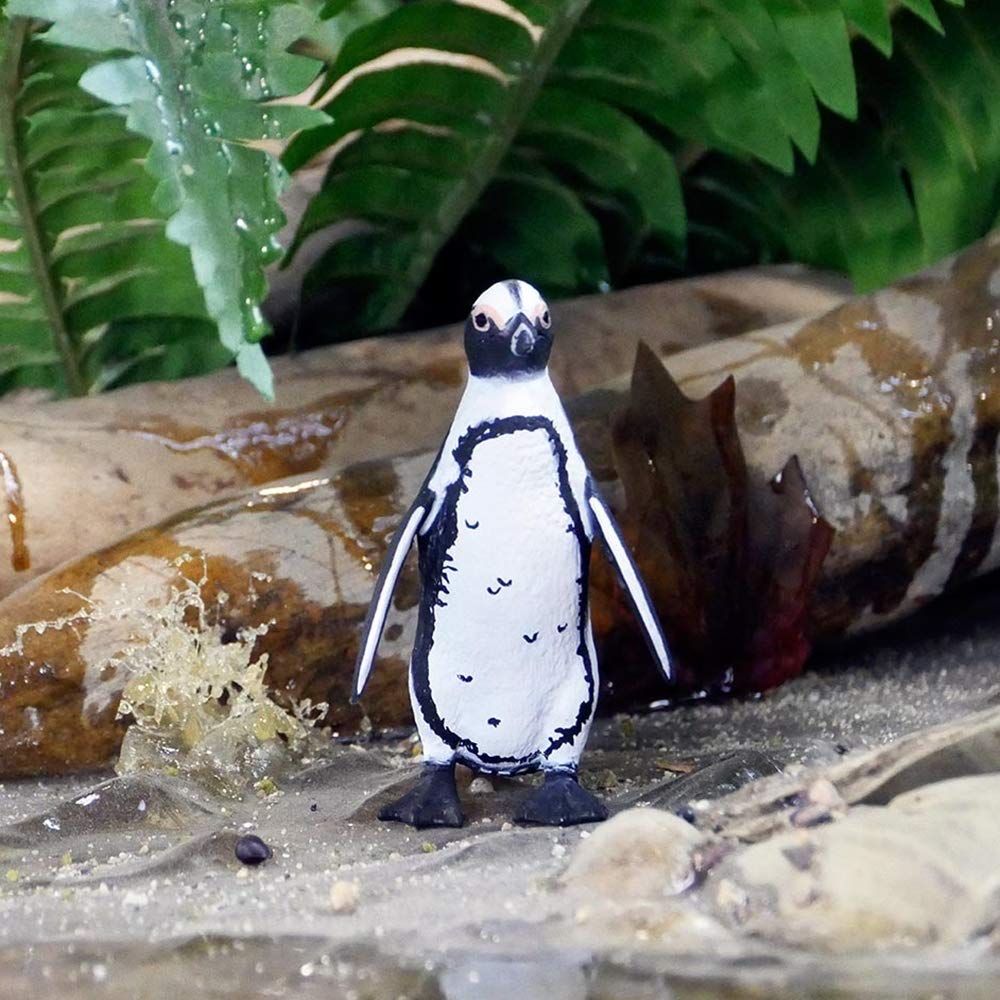 Amazon | Safari (サファリ) ケープペンギン フィギュア 204029