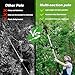 V-MODEST 2-IN-1 Electric Pole Pruning Shears Cordless, 1.6