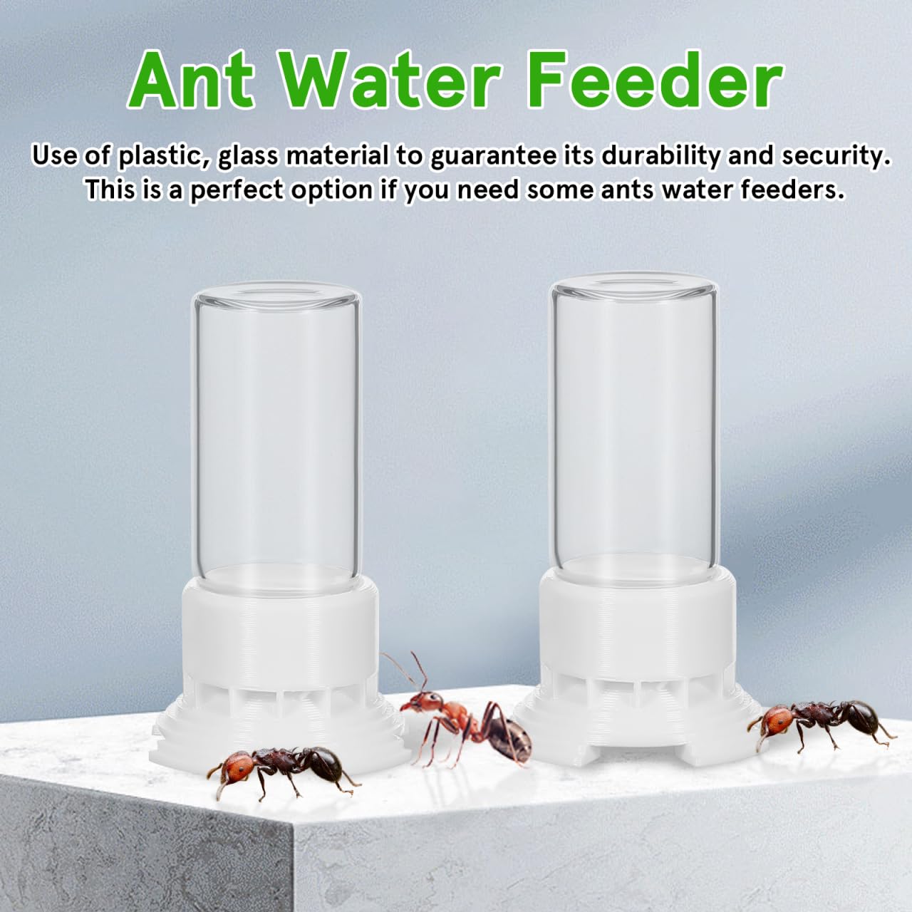 Hemobllo 2 distributori di acqua formiche in plastica Ant Nest Dispenser di cibo durevole per la conservazione delle formiche