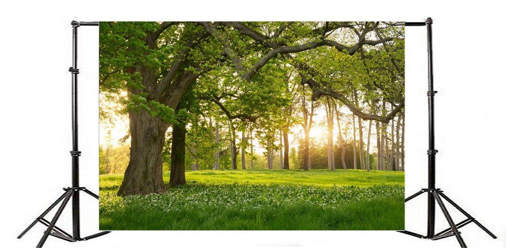 YongFoto 2,5x2,5m Sfondo Fotografico Primavera Paesaggio
