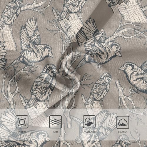 Girls' Underwear Vintage Birds Cotton Stretch Comfort Toddler Panties3