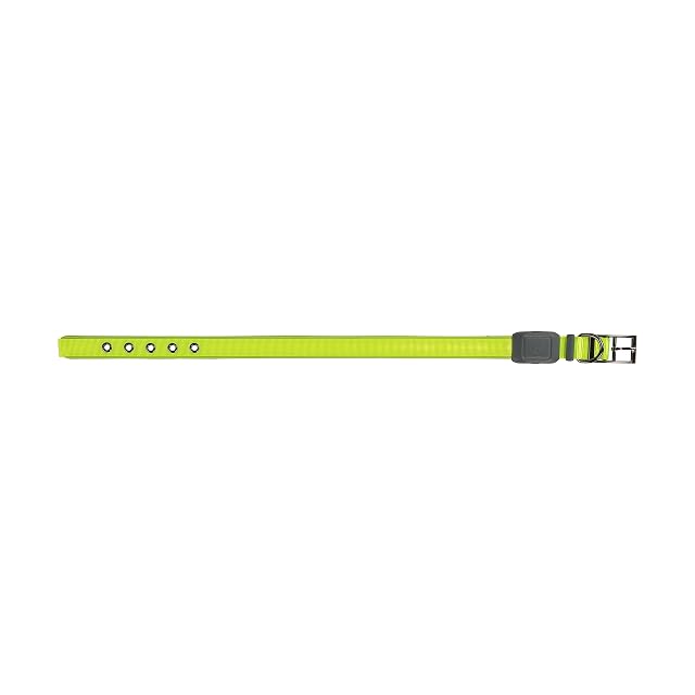 Foto 3 de 7 de Nite IZE NiteDog - Collar LED Recargable - Collar de Perro Iluminado con Hebilla de Metal Duradera