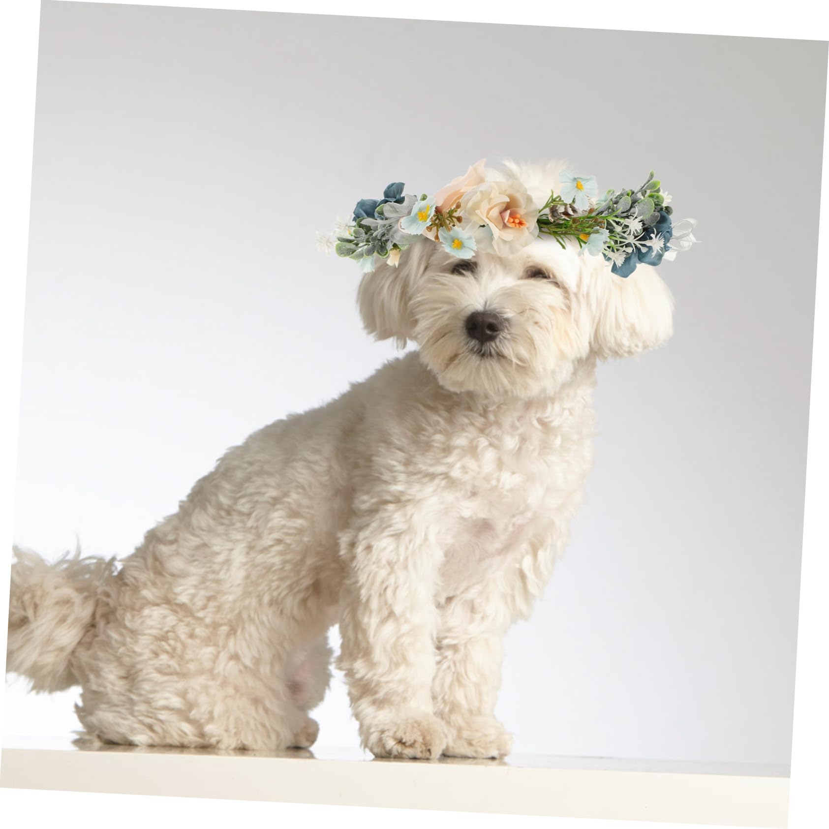 Toyvian Collare Floreale per Cani per Matrimonio Ghirlanda Floreale per Cani Accessorio per Foto per Animali Domestici per Feste Natale Compleanni e Uso Quotidiano Leggero e Comodo