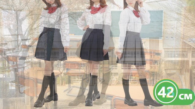 Amazon.co.jp: [Eiza] ボックス プリーツスカート 学生 制服 箱ヒダ