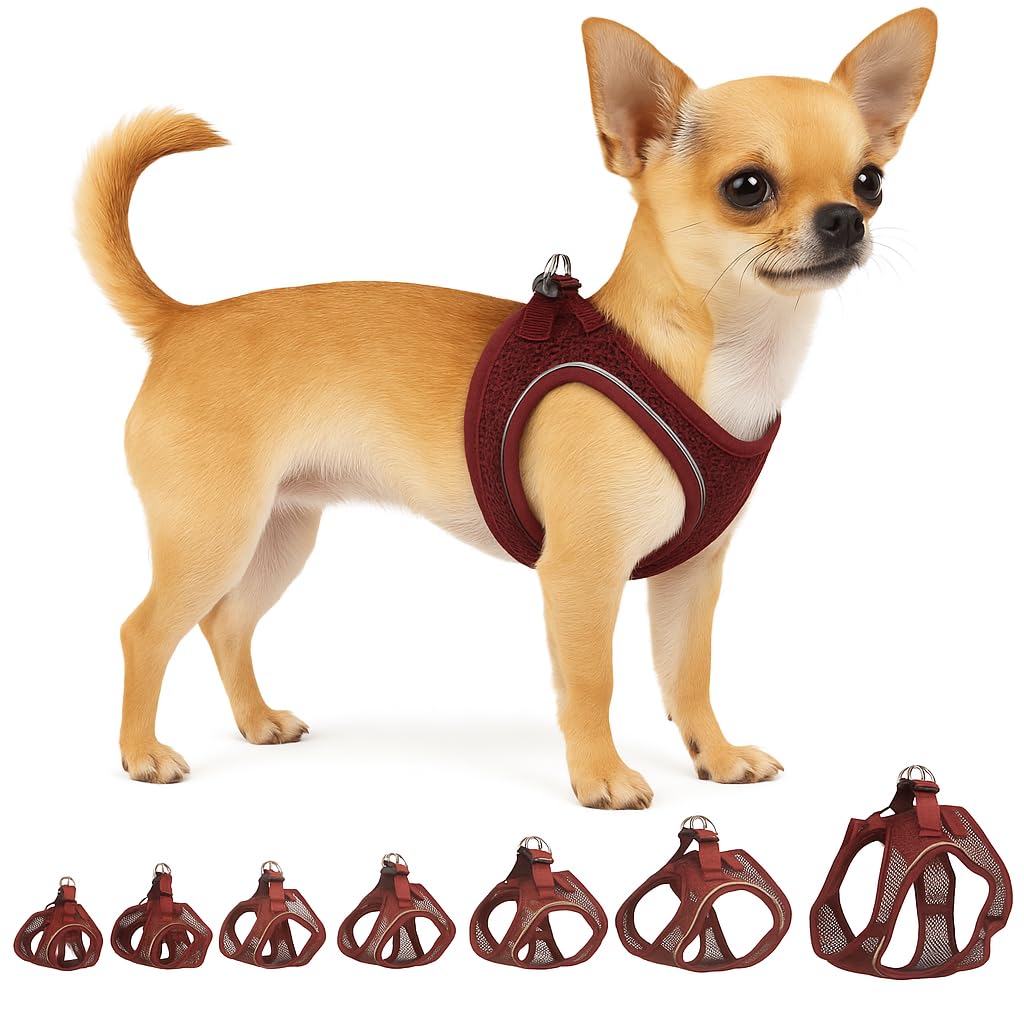 Flamingo Step-Go Bento Harness – Black, XXS (A:22-23 cm, B:24-25 cm, 2 mm), Comfortable and Adjustable, Ideal for Chihuahua, Yorkshire Terrier, Pomeranian, Maltese, etc.