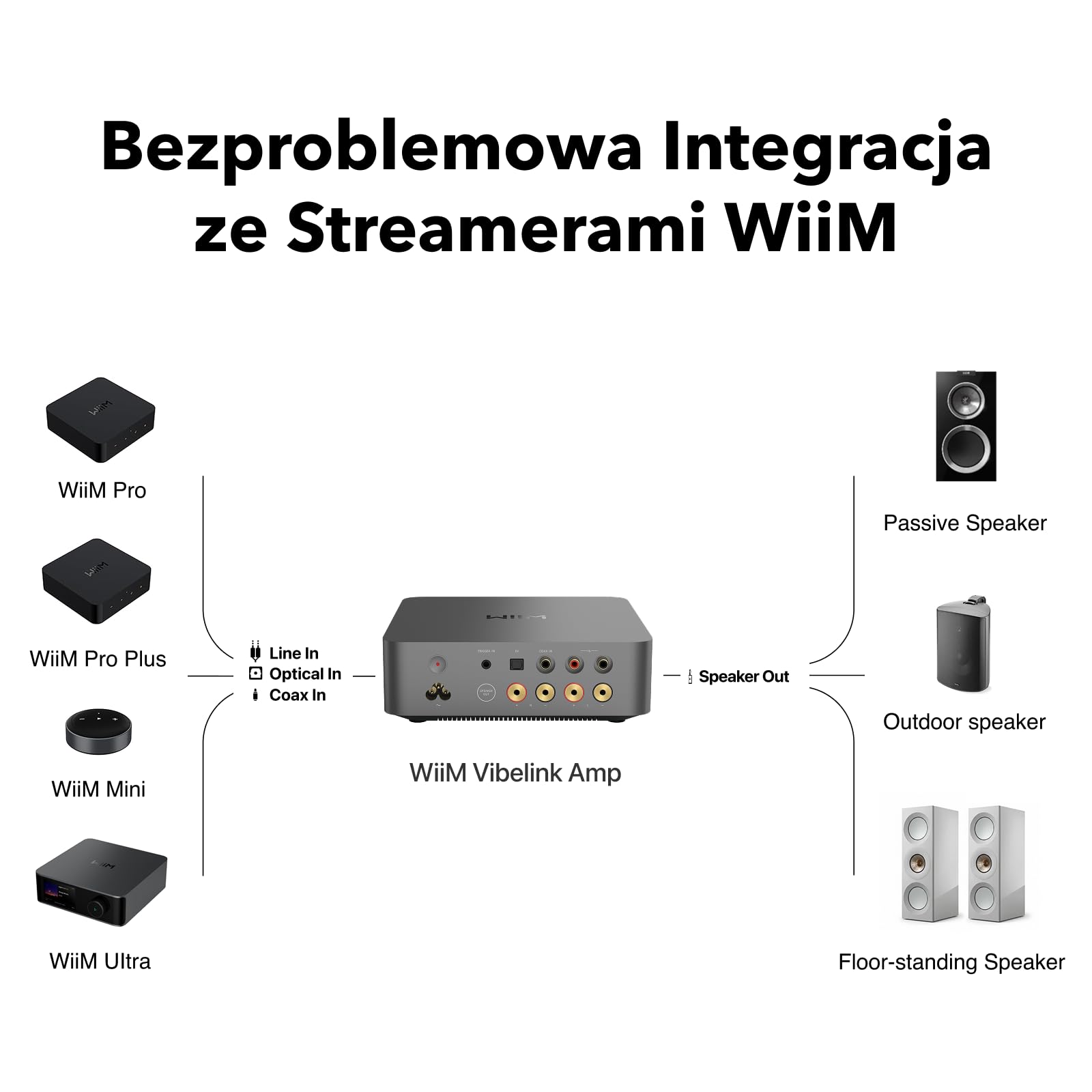 WiiM Vibelink Amp | Wzmacniacz 100W z wysokiej klasy DAC ESS 9039Q2M i układem TI TPA3255 | Kompatybilny z WiiM Mini, Pro, Pro Plus i Ultra | Wejścia RCA, Coax i optyczne | Space Gray