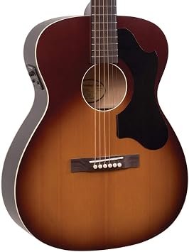 Recording King ROS-9-FE5-TS Series 9 000 Solid Top with Fishman EQ