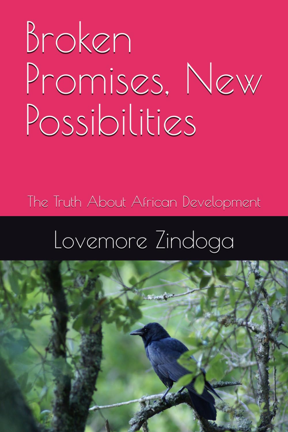 Broken Promises, New Possibilities: The Truth About African Development
