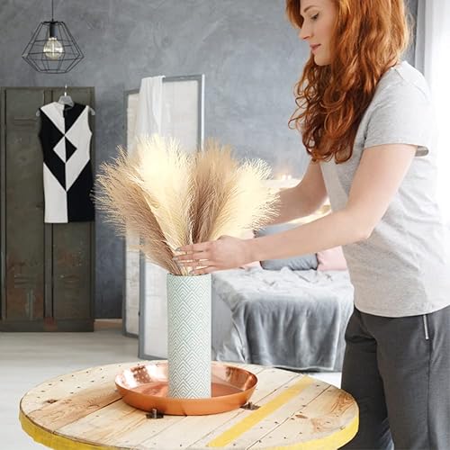 Miniatura 9 de 6 piezas de hierba sintética de las pampas, decoración de hierba de pampa artificial de 18 pulgadas, relleno de jarrón de flores falsas, esponjoso,