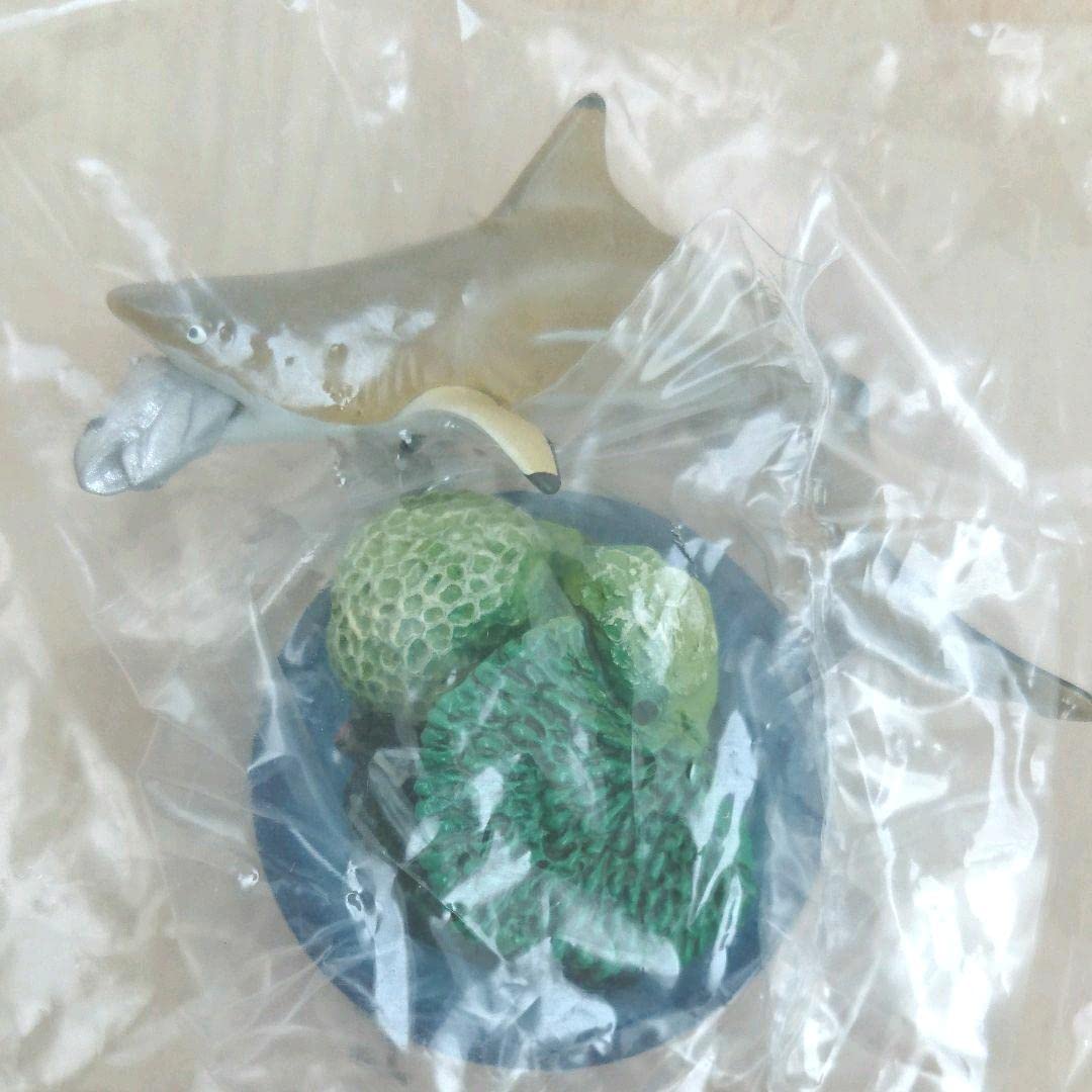 Amazon.co.jp: 海洋堂 新江ノ島水族館への誘い 第1弾 ツマグロ : Toys