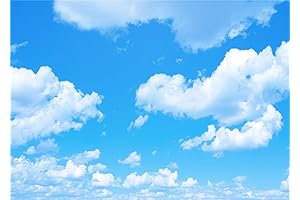 WR Blue Sky White Cloud Backdrop Photography Background