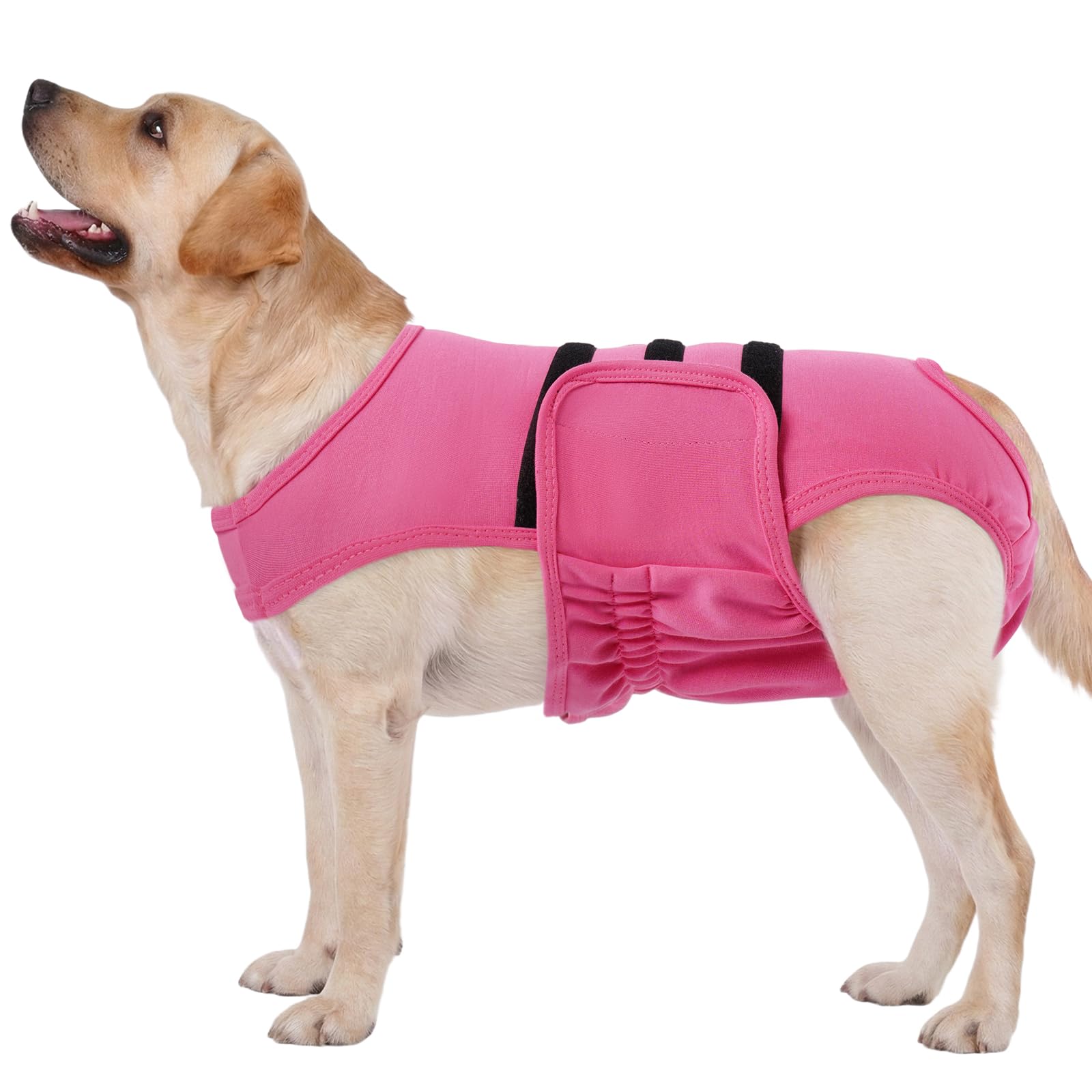 Lelepet Female Dog Diapers with Anti-Slip Suspender, Pink XL