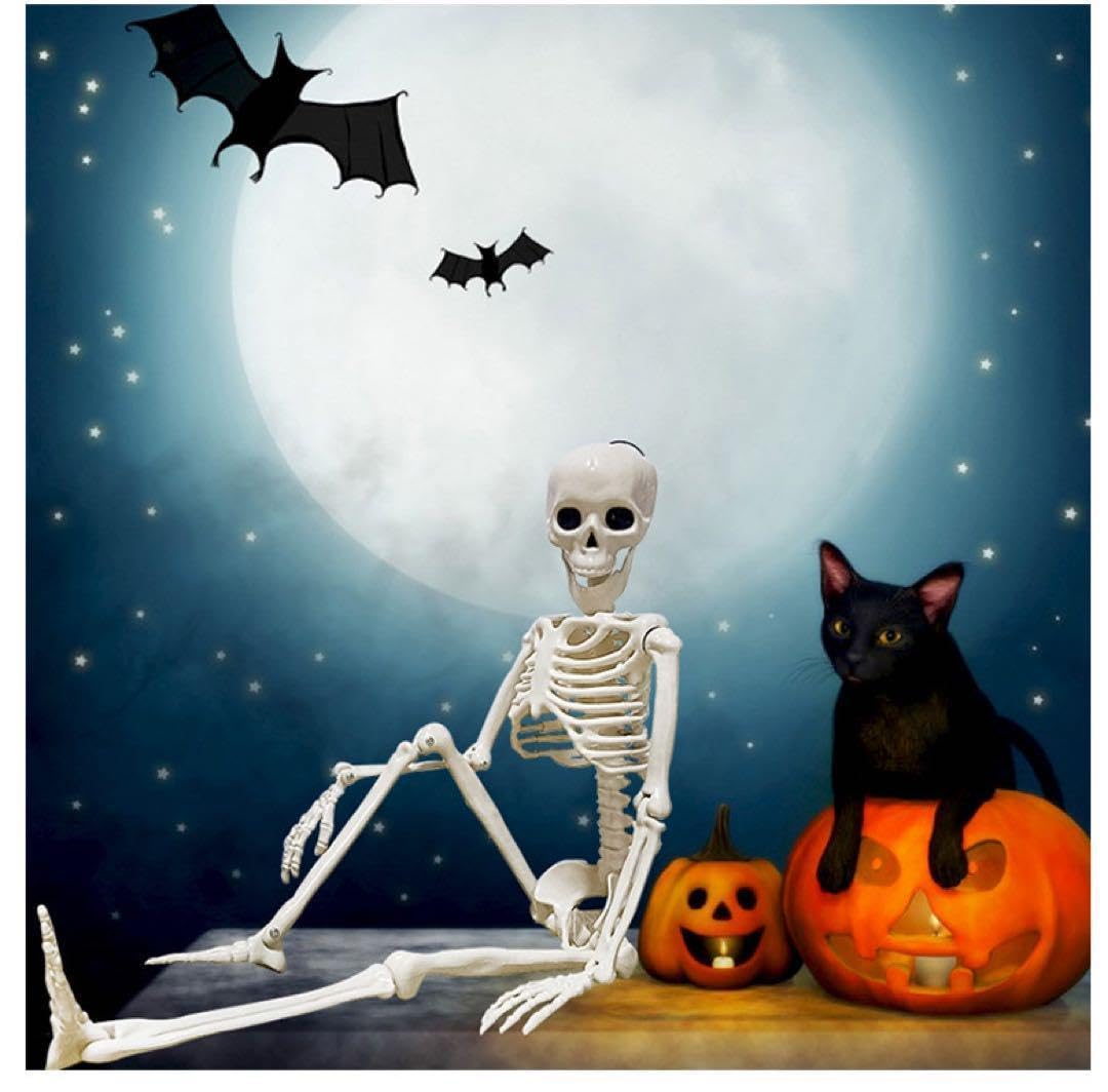 Amazon | ガイコツフィギュア40cmストラップハロウィン人体模型