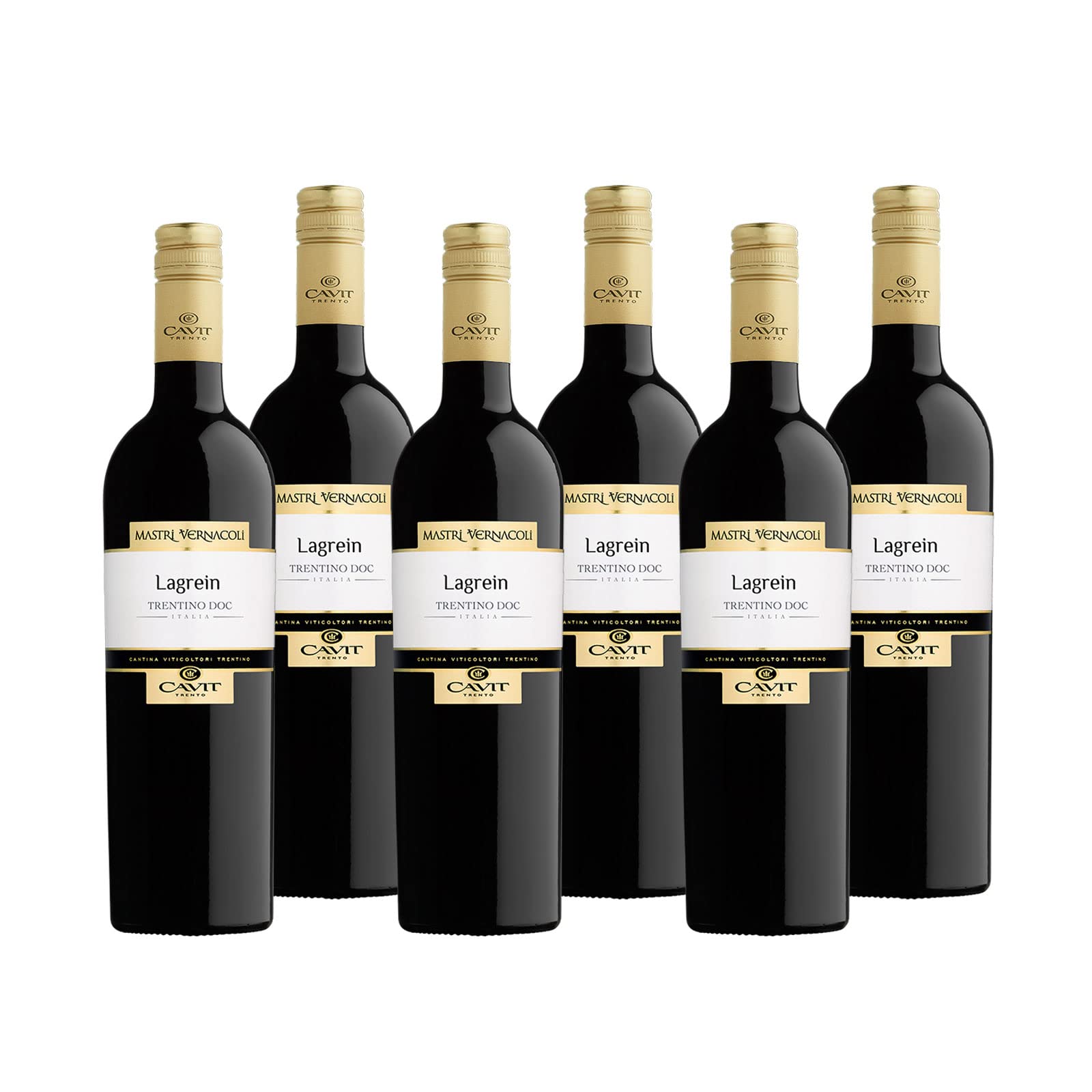 Lagrein Trentino DOC "Mastri Vernacoli" Rotwein Trentin trocken (6 x 0.75l)