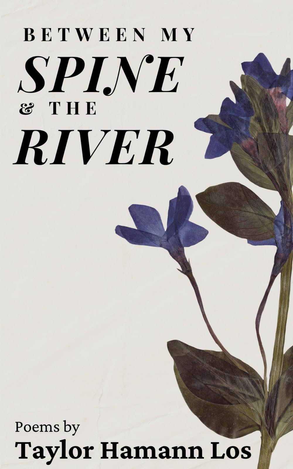 Between My Spine & The River: Poems
