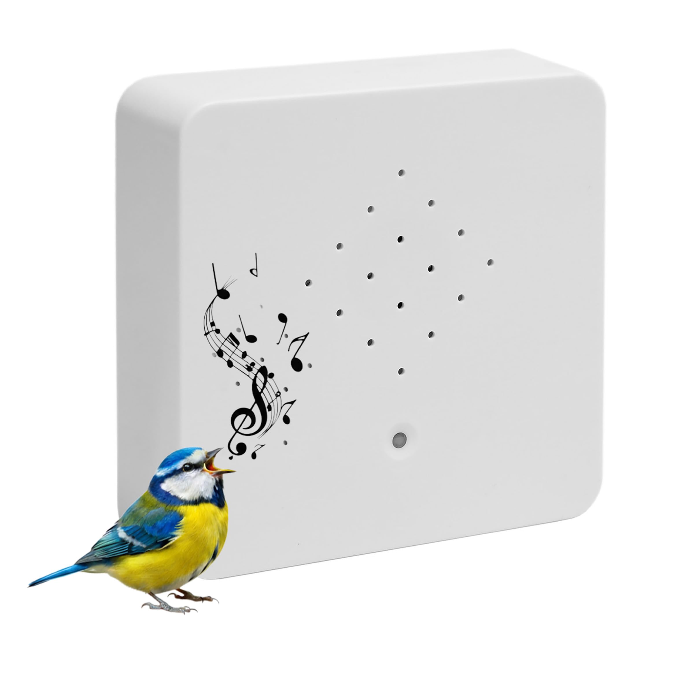 Bird Singing Speaker with Motion Sensor - Decorative Box with Nature Sounds, 12 cm, White, 2 Metre Sensor for Bathroom, Spa, Guest, Toilet and Relaxation