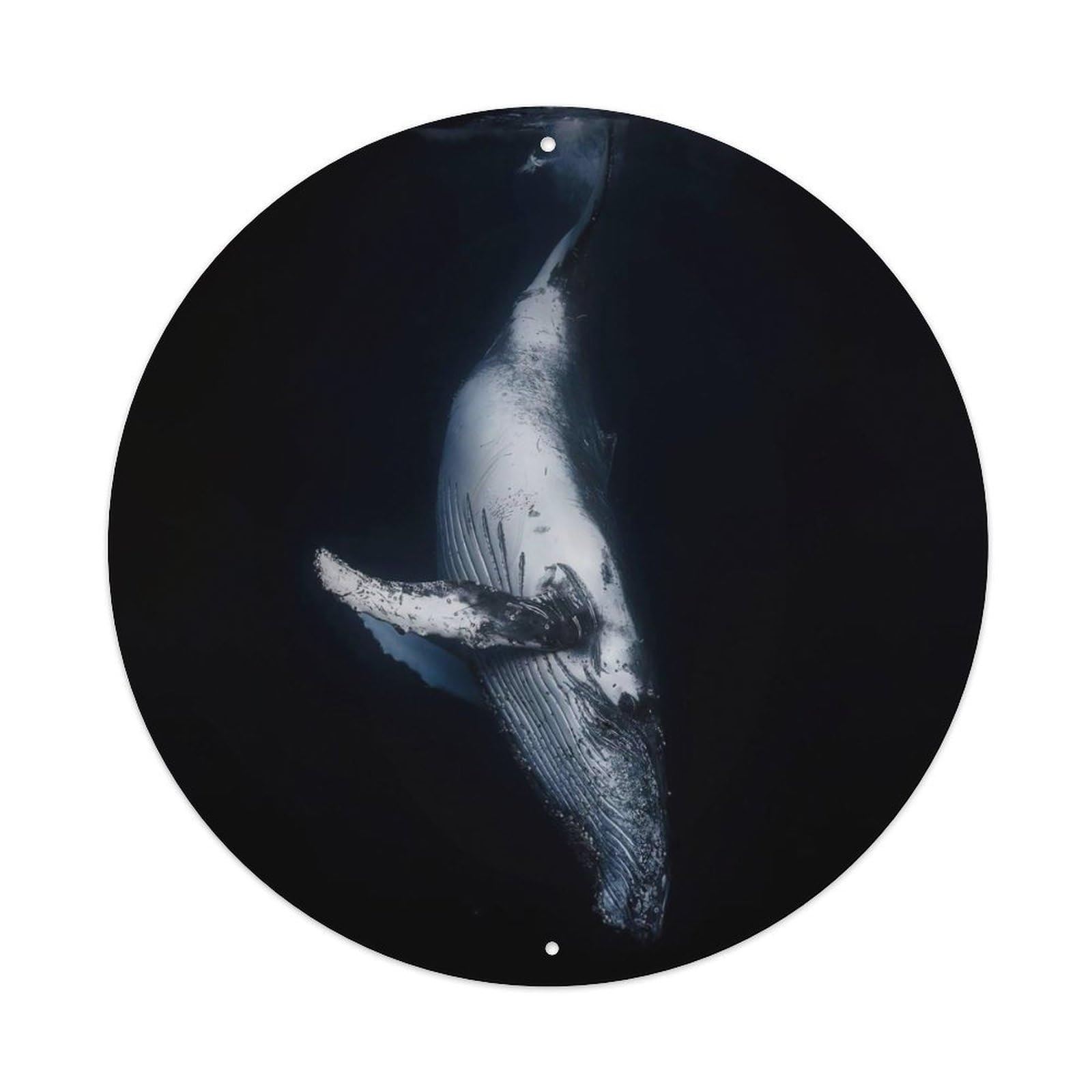 Marine Animals Humpback Whale Vertical Underwater Dive Vintage Metal Tin Sign Plaque Wall Decor for Cafe, Club Bar, Office, Garden Metal Poster 8x8Inch