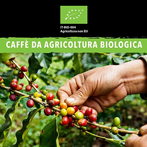 King Cup - 1 Confezione da 10 Capsule Compostabili...