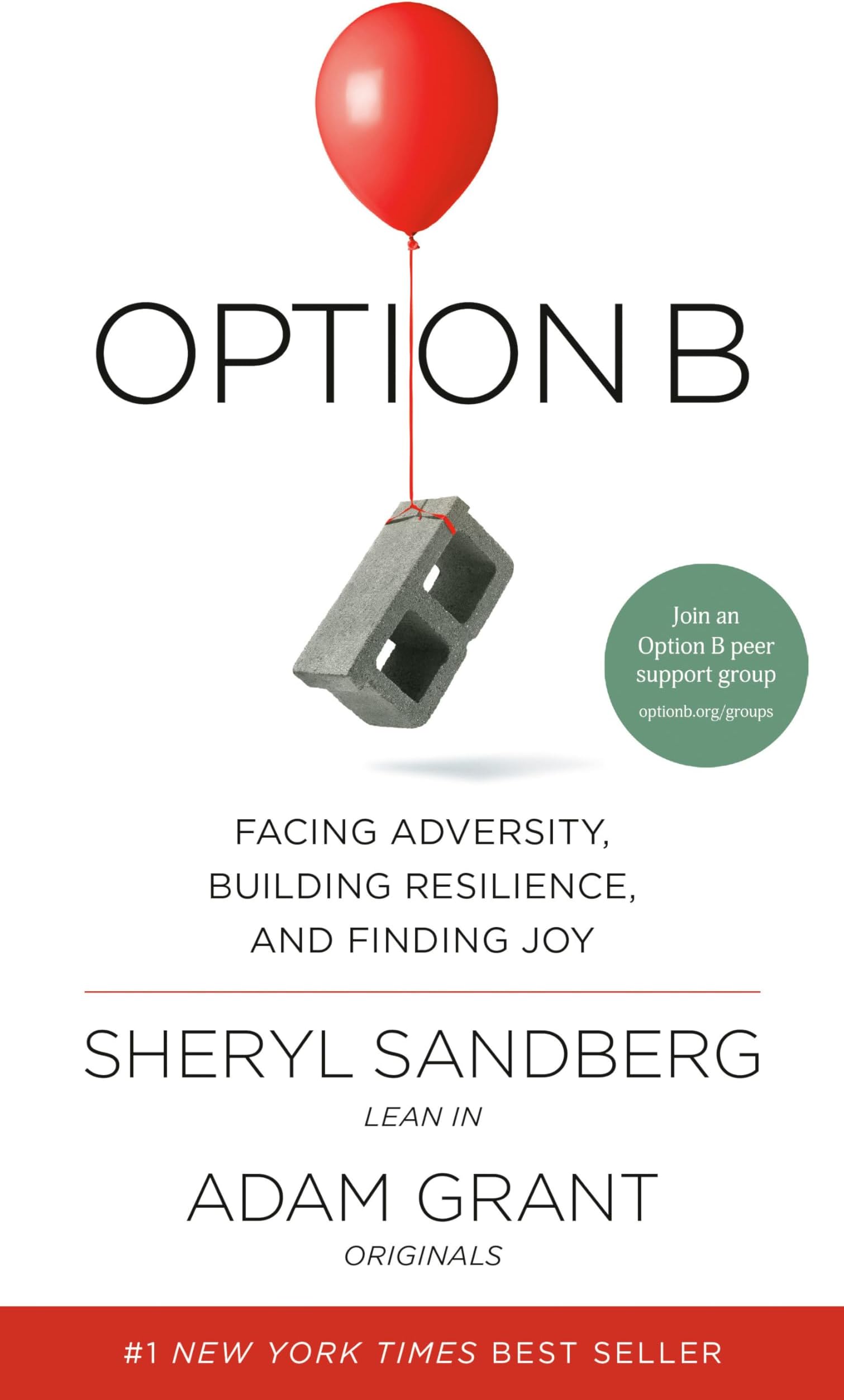 Option B: Facing Adversity, Building Resilience, and Finding Joy