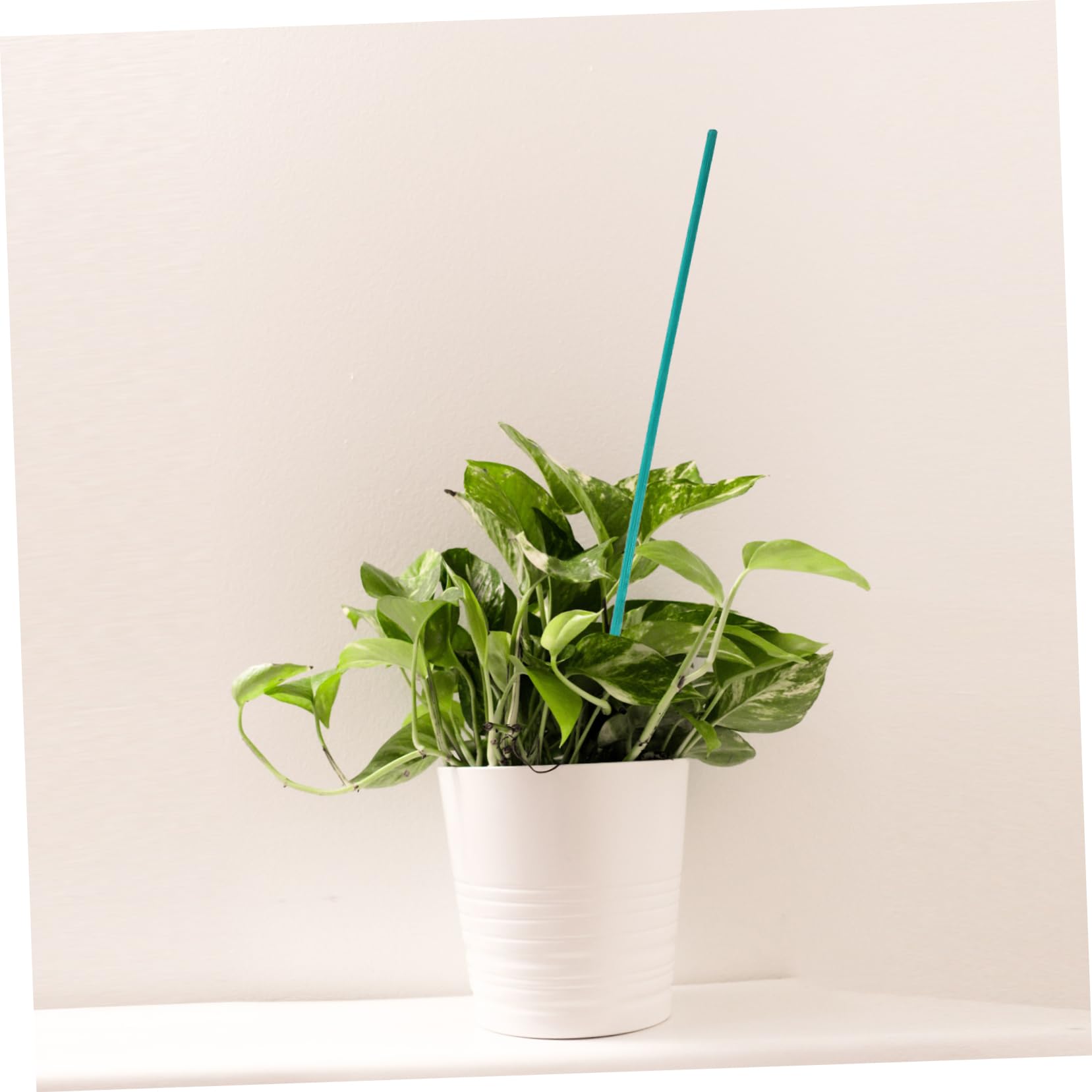 BESPORTBLE 5 Ensembles Pinces à Plantes pour Plantes grimpantes Jardins Pot Liens métalliques Outils Jardinage kit Jardinage la Fleur supporte Les Tuteurs Outils d'aide à la Plante Plastique