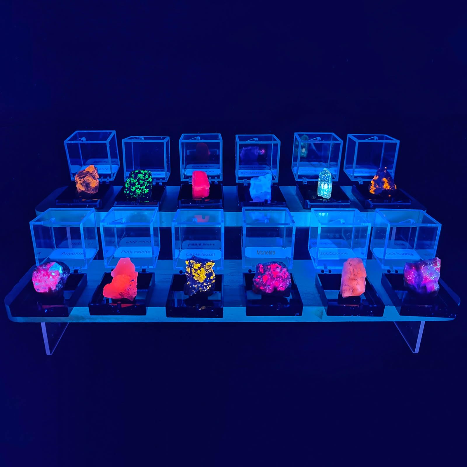 Fluorescent Mineral Specimens Set – 12 Natural UV Reactive Rocks with UV Torch and Display Stand, Geology Rock Collection for Stem Science Study, Educational Gift for Students & Collectors
