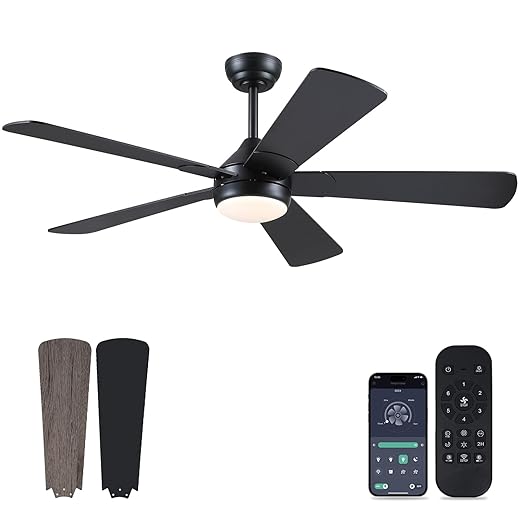 Asyko 52" Low Profile Ceiling Fan, Black Modern Ceiling Fans with Lights and Remote, 5 Dual-Sided Fan Blades and Reversible, Low Profile Ceiling Fan Light for Indoor and Outdoor Covered Patios