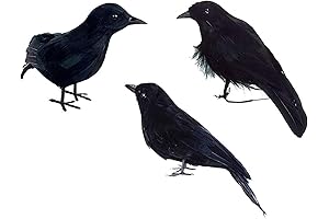 Halloween Black Crow Black Feathered Ravens Birds Decoration Crow Prop 3Pcs