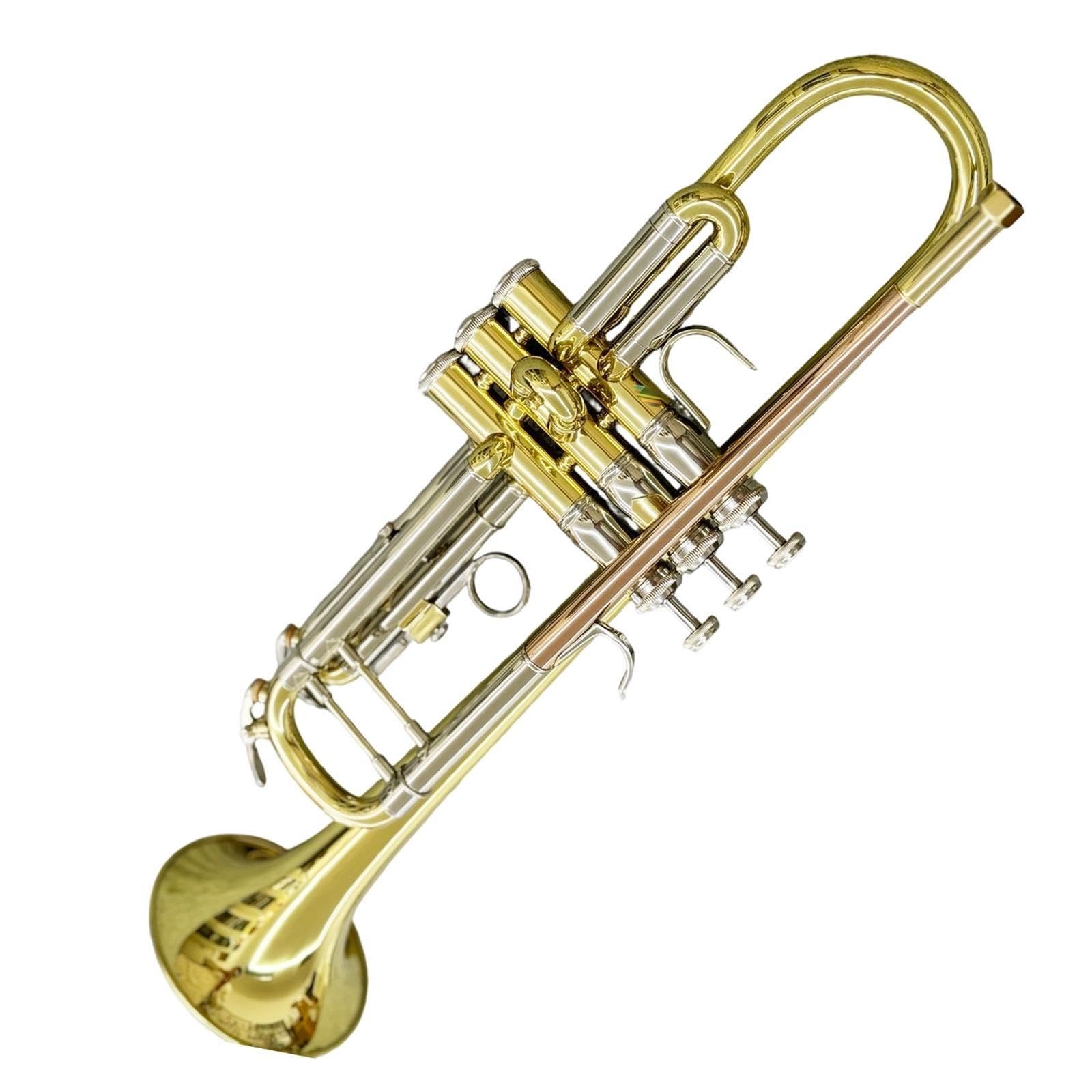 Professional Trumpet Trompeta profesional en si bemol