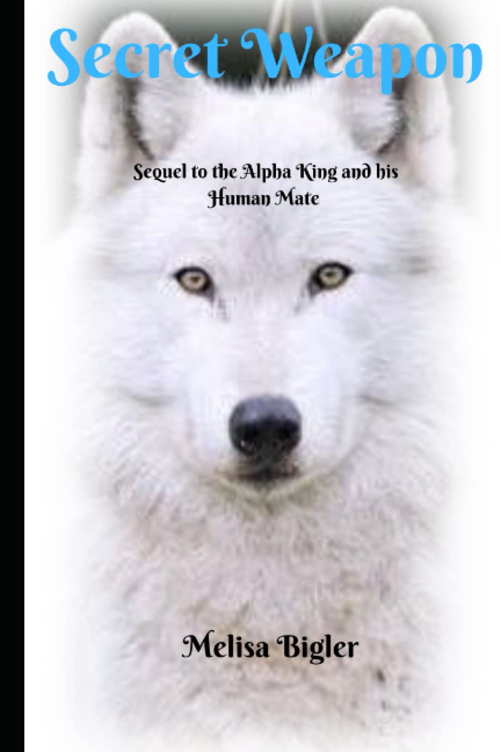 Secret Weapon: Sequel to the Alpha King and his Human Mate