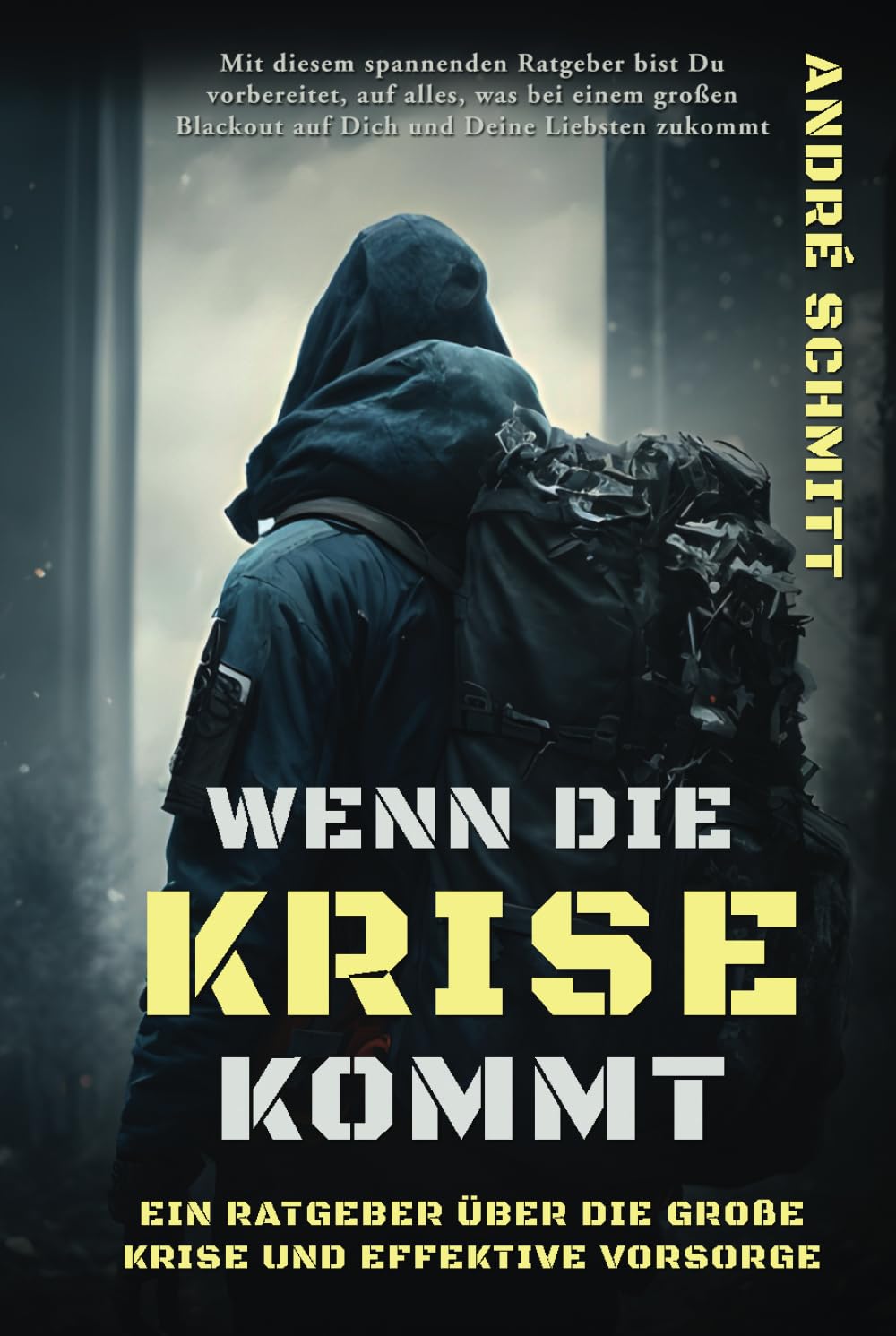 Wenn die Krise kommt: Ein Ratgeber über die große Krise und effektive Krisenvorsorge