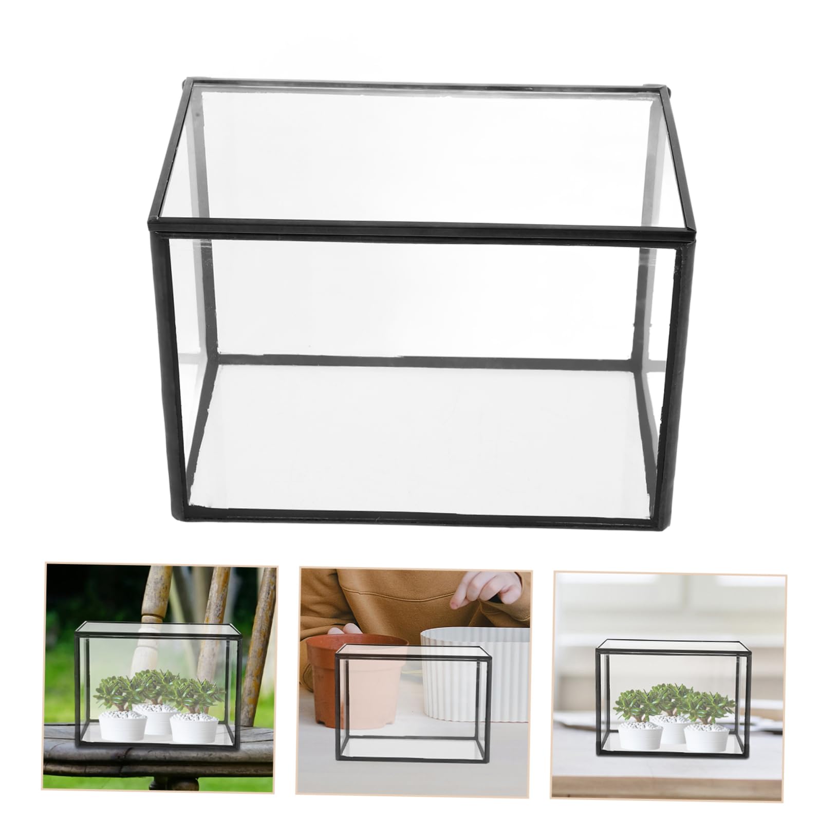 Terrario Per Piante Succulente Contenitore Trasparente Per Paesaggi Design Artistico Per Decorazione Casa e Ufficio Compatte e Leggere Per Progetti e Regali Originali