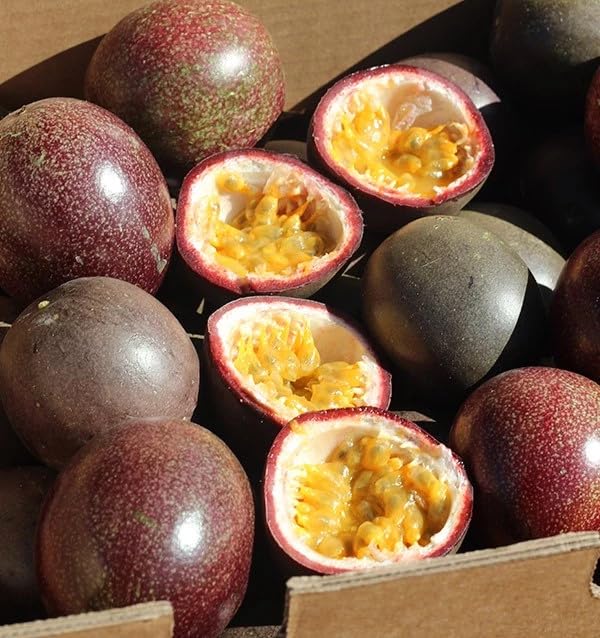 Fruta de la Pasión o Maracuyás, caja de 2kg, Fruta fresca entera, producción local y sostenible en Castellón (España),Del agricultor a casa, comprar maracuyá fresca, recolección bajo pedido
