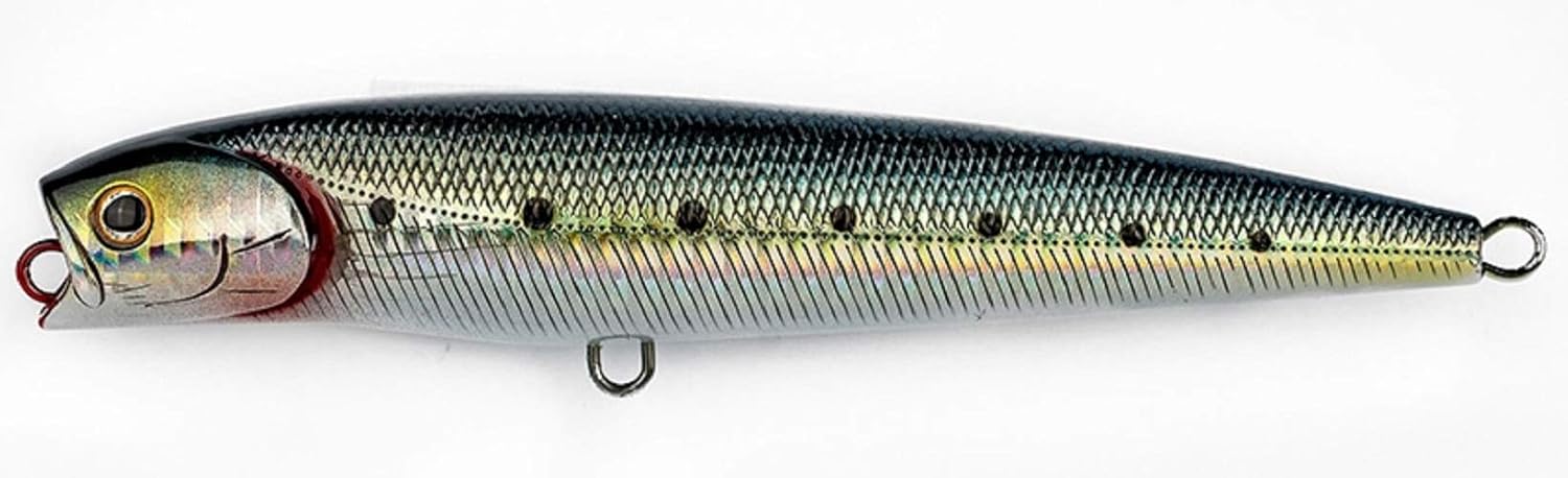Daiwa Fishing Lure Pencil 14Cm Floating Laser Maiwashi 1.1 Oz.