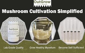 Mushroom Liquid Culture Premix