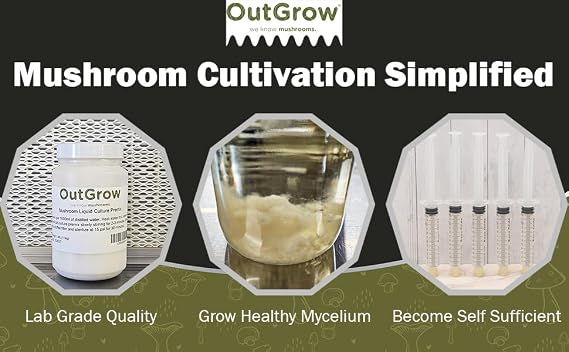 Mushroom Liquid Culture Premix