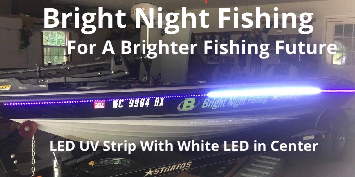 Bright Night 12 Foot UV