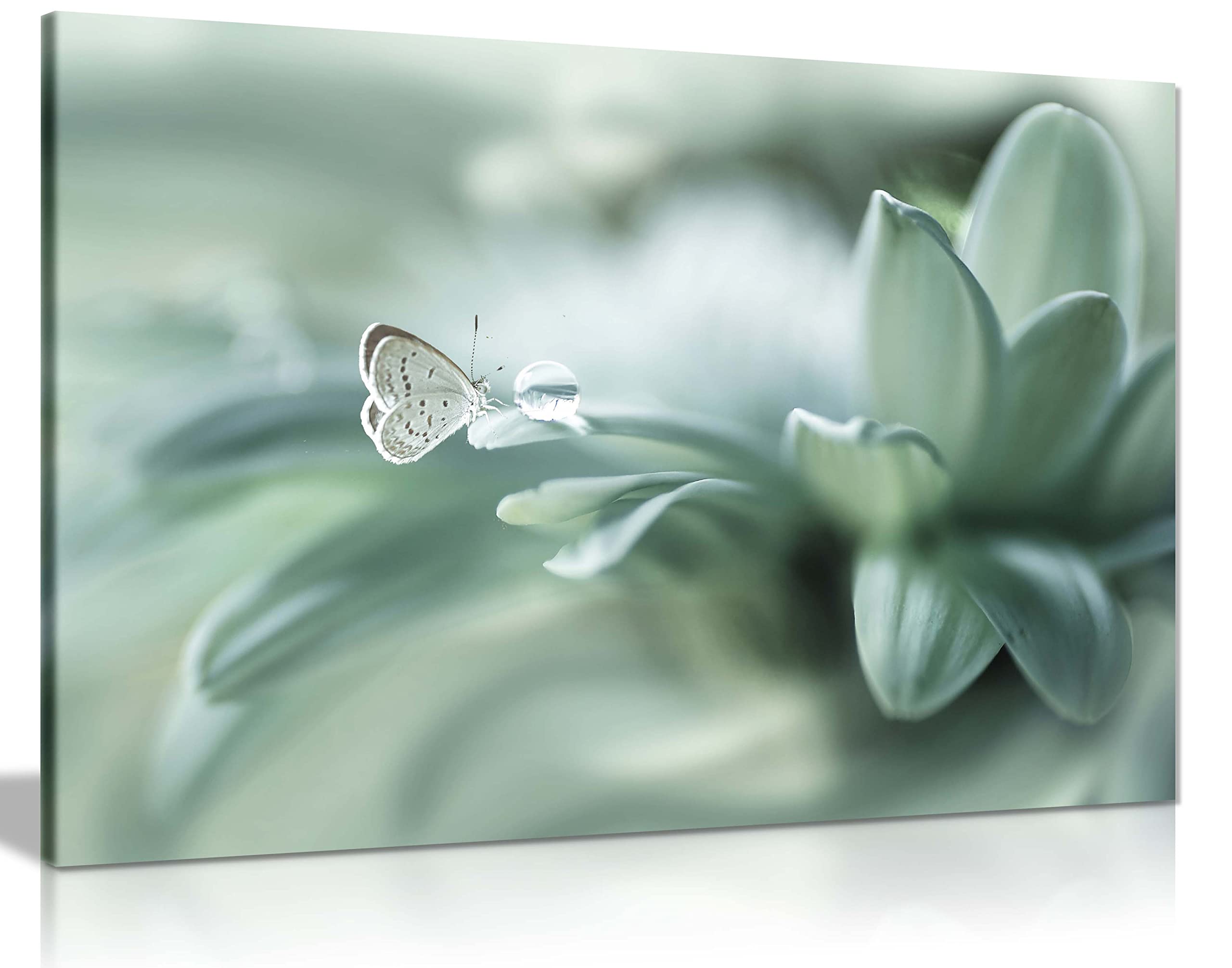 Panther Print Fine Art Prints Dew Drop & Green Pastel Butterfly Artistic Framed Canvas Print, Pictures for Home Walls, Bedroom, Living Room & Bathroom Decor 61x41cm (24x16in)
