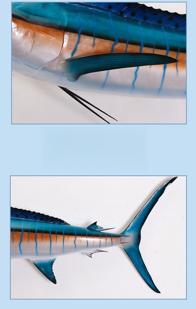 FENGSHUI-CAISHEN Marlin Fish,Replica Marlin,Fish Replicas,Fake Fish,Half Sided,Wall Pediments,Wall Mount Decor,Fishing Wall Decor,Fish Statue,Fish Figurines,Trophy,Ocean Wall Art,Plaques (Large)
